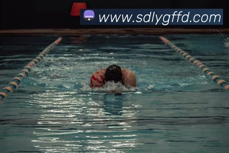 世界杯官方网络平台平台生态图