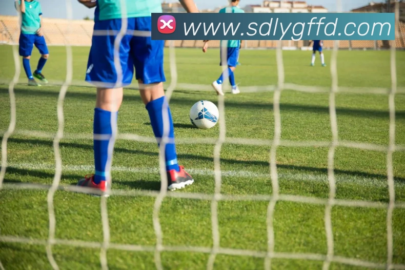 世界杯官方网络平台全站App